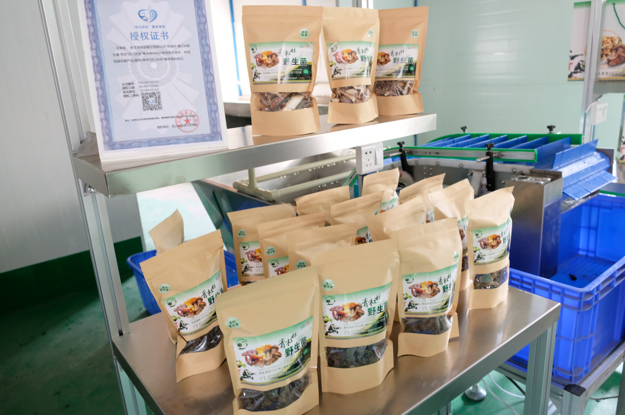 尊龙凯时人生就是博(中国区)官方网站