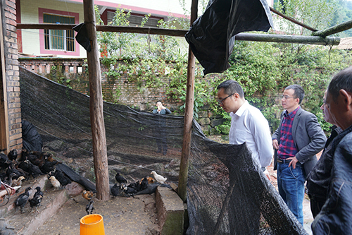 尊龙凯时人生就是博(中国区)官方网站