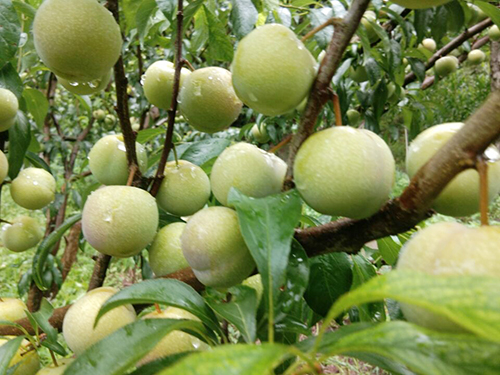 尊龙凯时人生就是博(中国区)官方网站