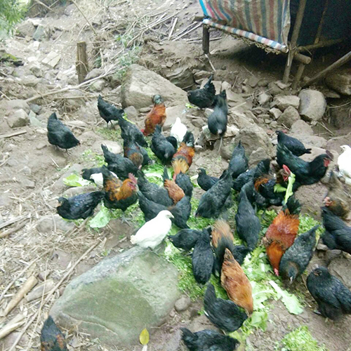 尊龙凯时人生就是博(中国区)官方网站