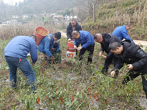 尊龙凯时人生就是博(中国区)官方网站