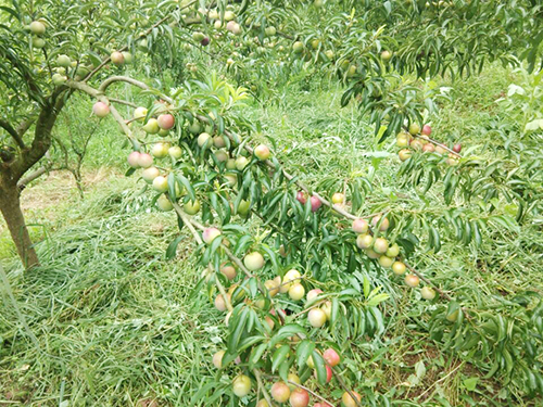 尊龙凯时人生就是博(中国区)官方网站