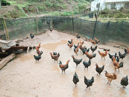 尊龙凯时人生就是博(中国区)官方网站