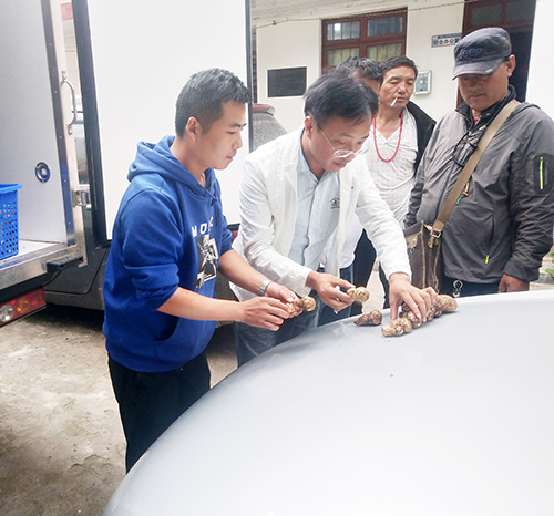 尊龙凯时人生就是博(中国区)官方网站