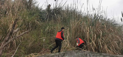 尊龙凯时人生就是博(中国区)官方网站