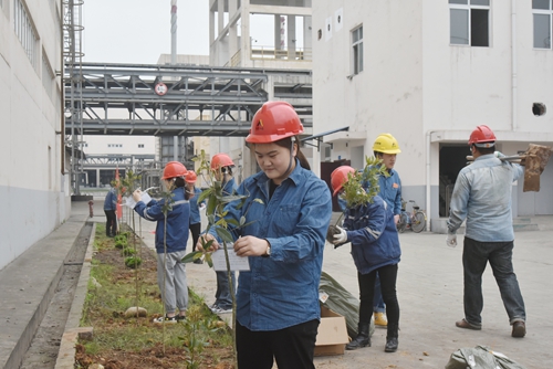 尊龙凯时人生就是博(中国区)官方网站