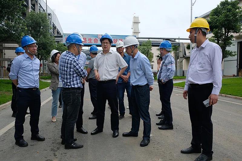 尊龙凯时人生就是博(中国区)官方网站