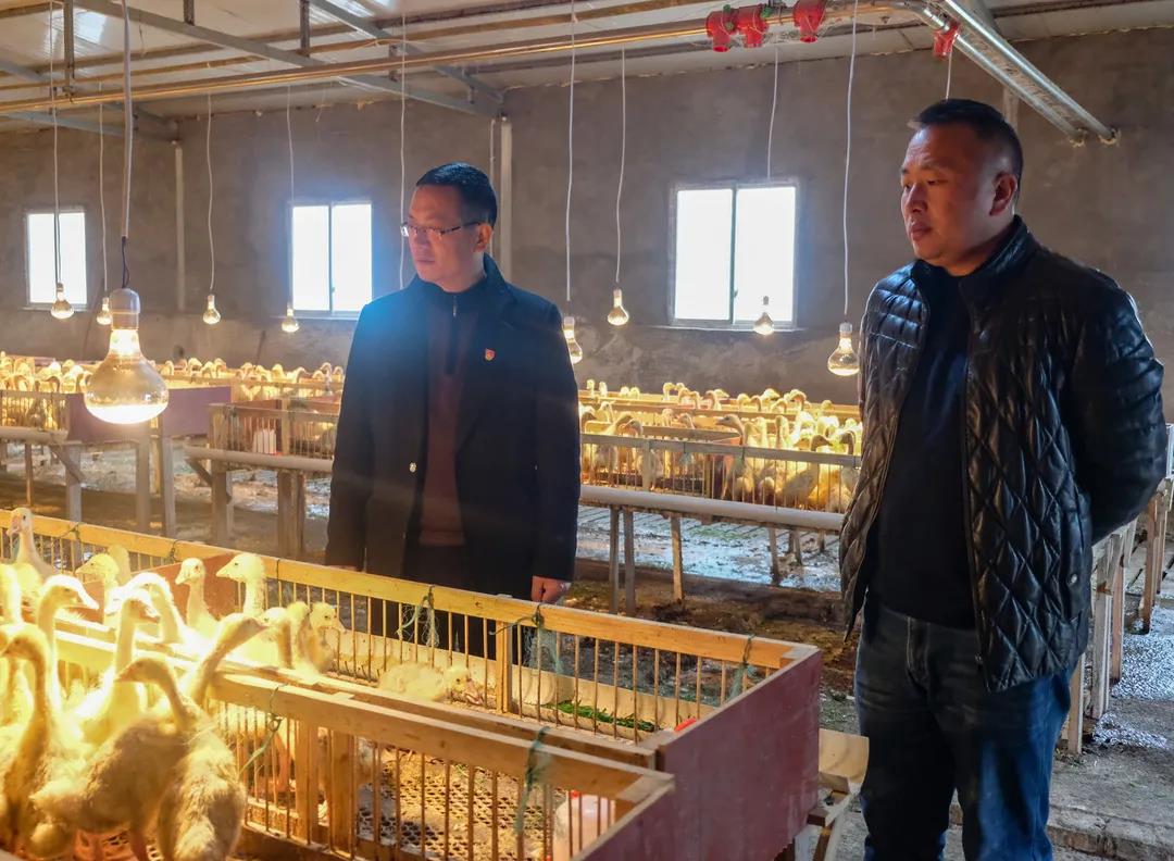 尊龙凯时人生就是博(中国区)官方网站