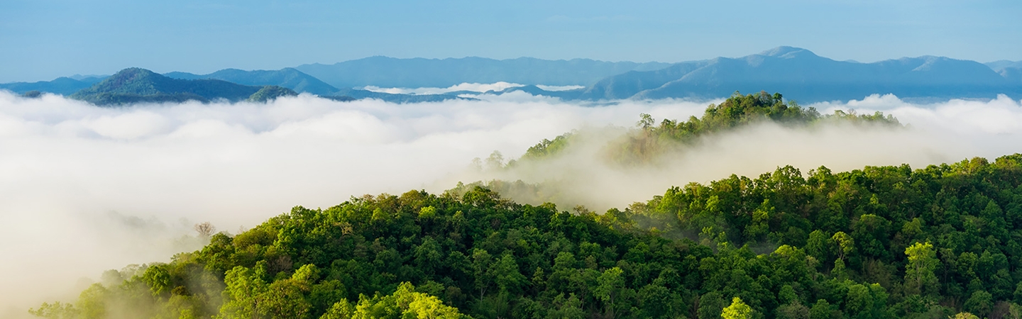 尊龙凯时人生就是博(中国区)官方网站